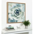 thumbnail image 5 of Kate and Laurel Sylvie Botanical, Succulent 7, Color Photograph, Framed Canvas Square Wall Art by F2 Images, 30x30 Natural, 5 of 5