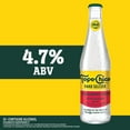 thumbnail image 2 of Topo Chico Hard Seltzer Strawberry Guava , 24 fl oz Aluminum Can, 4.7% ABV, 2 of 6