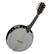 Gold Tone Banjo Mandolin w/ Gig Bag