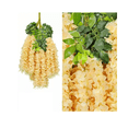thumbnail image 2 of 14pcs Wisteria Artificial Flores Decoración Boda Hogar Amarillas, 2 of 5
