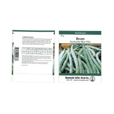 Kentucky Blue Pole Bean Seeds - 25 Gram Packet - Non-GMO, Heirloom - Green Bean Vegetable Garden Seeds - Phaseolus