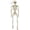 Styl 1, variant on SUTWOEN Halloween Skeleton Ghost House Decoration Props Skeleton Moving Skeleton Simulation Human Skeleton Decoration