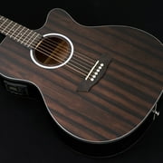 Washburn Deep Forest Ebony ACE Acoustic-Electric Guitar Natural Matte