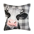 thumbnail image 3 of Donna Sharp Augusta 2PC Cotton Cow Pillow Set, 3 of 8