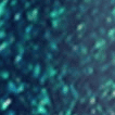 Bluegreen