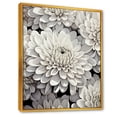 thumbnail image 2 of Designart "Ethereal Whiteness: Magical White Chrysanthemums II" Chrysanthemums Floater Framed Canvas Art Print, 2 of 5