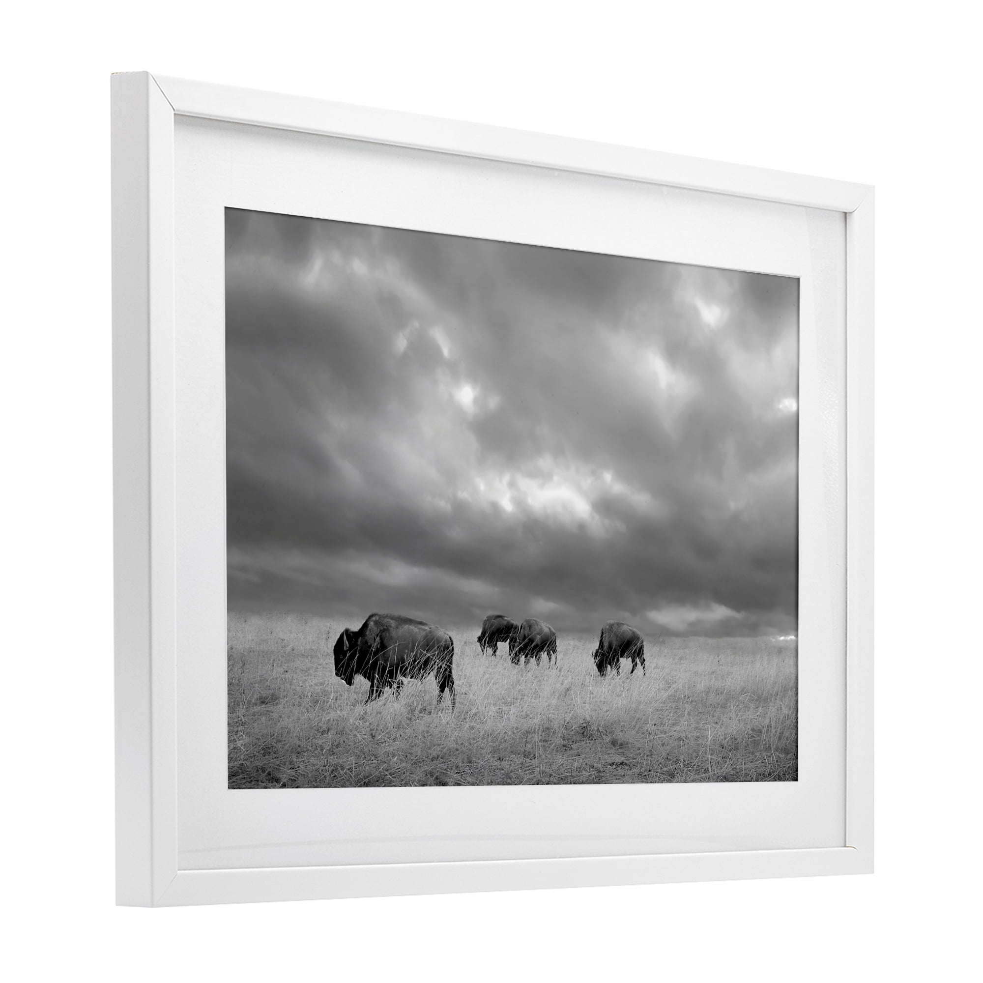 Stupell Industries Bisons Under an Autumn Sky White Framed Print Under Glass, design by Steve Toole