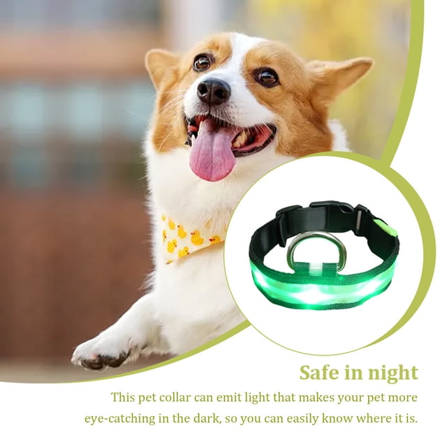 Collier Lumineux Réglable pour Animaux de Compagnie Randonnée Nuit Marche Animal Lumineux Cadeau Animaux de Compagnie Fournitures Choker Portable Lavable Colliers Animaux de Compagnie Fournitures Cadeau Vert