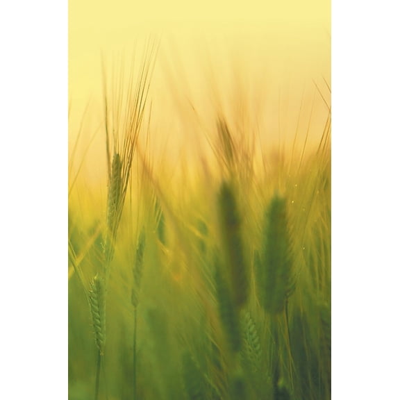 Agricultural Microbiology, (Hardcover)