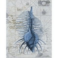 thumbnail image 3 of Fab Funky 15x18 Black Modern Framed Museum Art Print Titled - Seashell Collection 1 b, 3 of 5