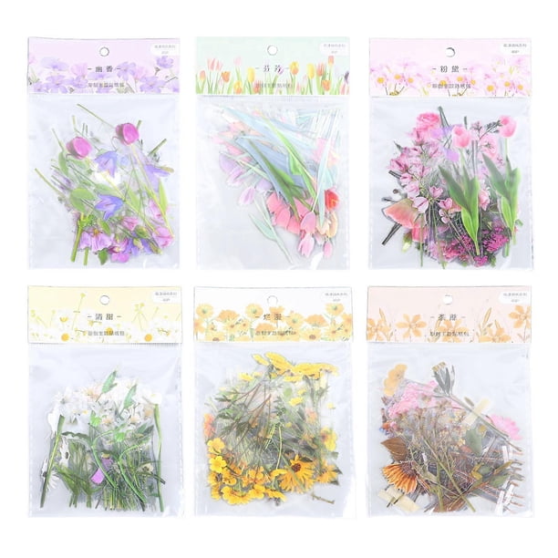 6 Pack Floral Stickers Set DIY Hand Crafted PET Transparent Floral Leaves Stickers for Scrapbooking Photo Album