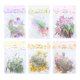 thumbnail image 1 of 6 Pack Floral Stickers Set DIY Hand Crafted PET Transparent Floral Leaves Stickers for Scrapbooking Photo Album, 1 of 5