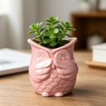 thumbnail image 5 of MKHSQHDG Today's Deals Owl Shaped Ceramic Succulent Planter Garden Container, 5 of 5