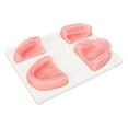 thumbnail image 3 of Kit De Sutura , Kit De Entrenamiento De Sutura Oral, Pinzas Que Mejoran Las Habilidades, Modelo De Silicona Para Estudiantes, 3 of 7