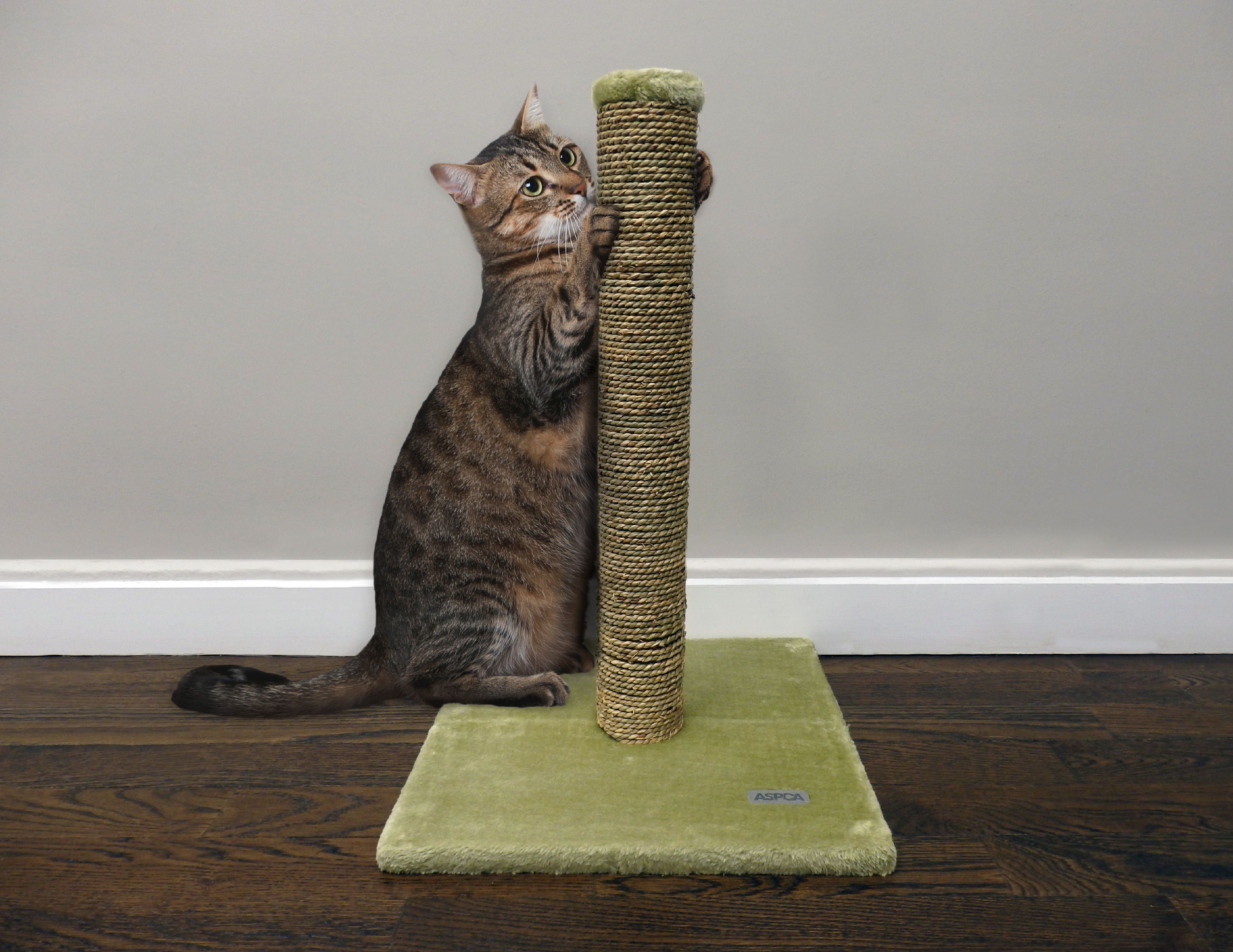 ASPCA XL Cat Sisal Scratching Post, Protect Home Furnishings & Files
