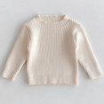 thumbnail image 3 of Fancifize Kids Crew Neck Sweater Long Sleeve Ribbed Knit Pullover Top Soft Slim Fit Causal Outfits for Girls Boys, 3 of 4