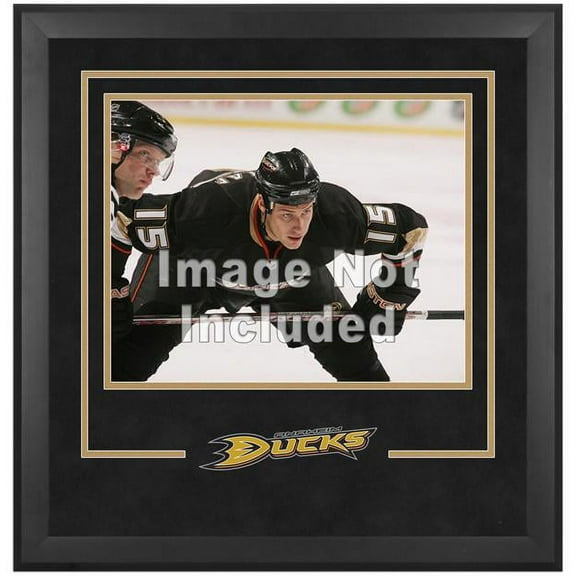 Anaheim Ducks Deluxe 16" x 20" Horizontal Photograph Frame