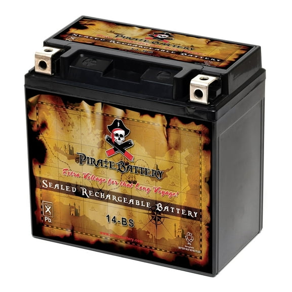 Pirate Battery YTX14-BS (14-BS 12 Volt,12 Ah, 200 CCA) Motorcycle Battery for Kawasaki 1200cc Ninja Zx-12r 2003