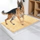 thumbnail image 2 of Cleany Dog Mat Ultra Absorbent Dirt Trapper Mat Dog Mat Clean Mat Super Absorbent Mud Floor Mat 40*60cm, 2 of 3