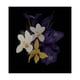 thumbnail image 5 of Clive Christian No. 1 PERFUME SPRAY por Clive Christian Clive Christian Model, 5 of 5