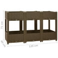 thumbnail image 4 of vidaXL Raised Bed 120x40x71 cm Polypropylene, 4 of 4