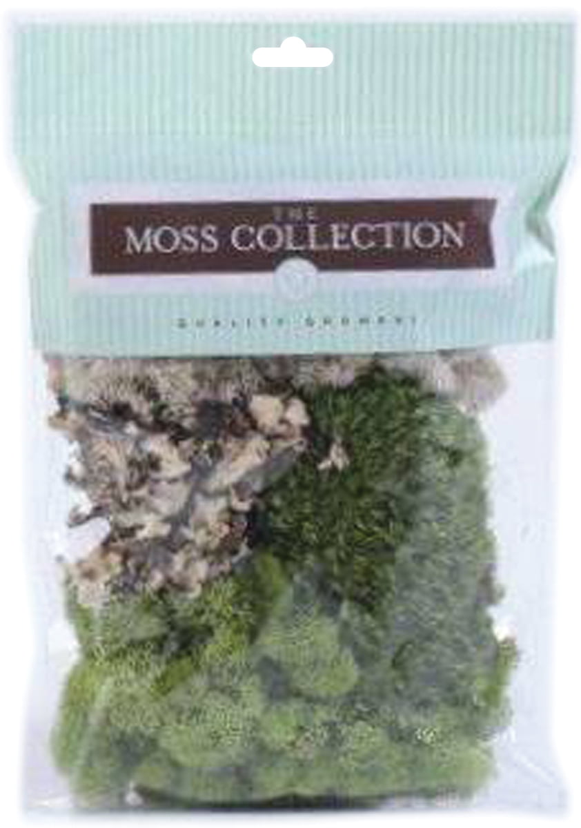 Small Bag of Lichen Moss Assorted Colours 20g Garden Dolls House Miniature 