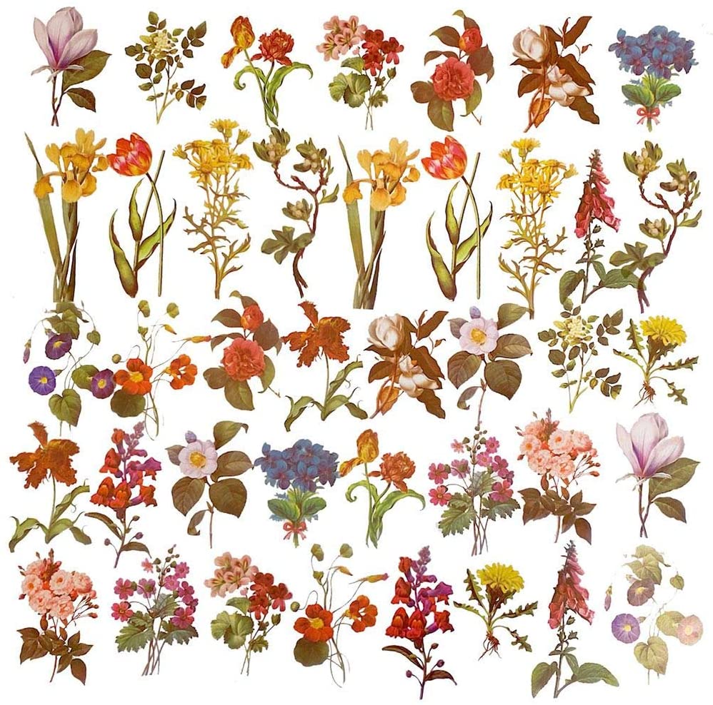 vintage flowers and plants stickers doraking 40pcs peel off diy decoration sulfuric paper flowers and plants scrapbook stickers for scrapbook flower collection 40pcs pack walmart com
