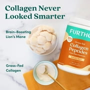 Further Food Hazelnut Collagen Peptides Powder