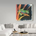 thumbnail image 3 of Trademark Fine Art 'Costa Rican Leaping Frog' Canvas Art by Charlsie Kelly, 3 of 3