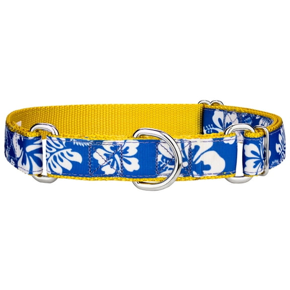 Country Brook Petz® Royal Blue Hawaiian Ribbon Martingale Dog Collar, Medium