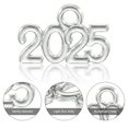 thumbnail image 4 of Encanto del año Patrón 2025 Borlas de aleación de zinc Graduación Brillante Plateado 110 Pcs, 4 of 7