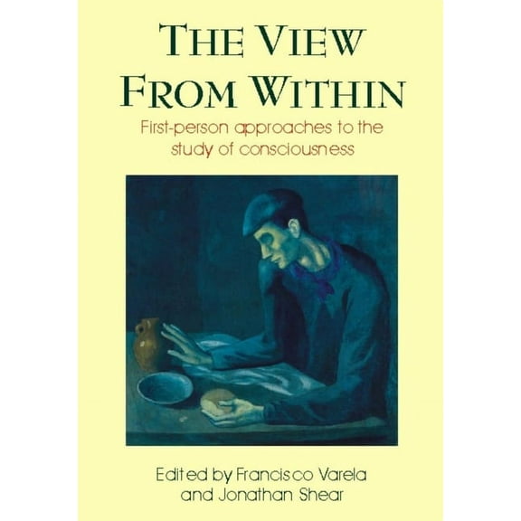 Consciousness Studies View from Within: First-Person Approaches to the Study of Consciousness, (Paperback)