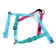 thumbnail image 4 of Didog No Pull Dog Harness with Soft Padded Handle, Quick Fit & Lightweight Adjustable Vest Harness, Easy for Training Walking for Small & Medium and Large Dogs, 4 of 6