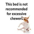 thumbnail image 2 of Lit pour chien Quiet Time de MidWest, 2 of 8