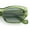 All Green, variant on Womens Mod Thick Plastic Chunky Cat Eye Sunglasses Peach Brown