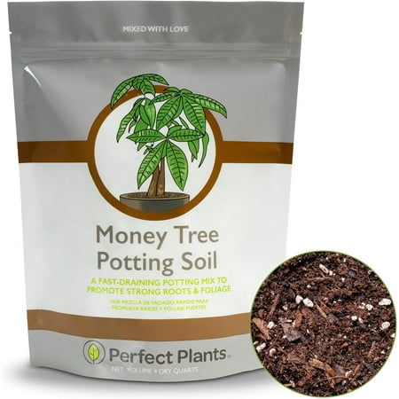 Money Tree Potting Soil 4qt | Organic Coco Coir Based Plant Mix for Indoor Trees | Quickly Grow Your Indoor Forest