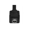 thumbnail image 6 of SF Cable 9-pin to 4-pin IEEE-1394 FireWire 800/400 Cable, 3 feet, 6 of 6