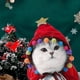 thumbnail image 3 of Disfraz de gato navideño, gorro de Papá Noel con bufanda, conjunto de Navidad para gatito, ropa para mascotas, conjunto de Papá Noel para gatito y cachorro, 3 of 5