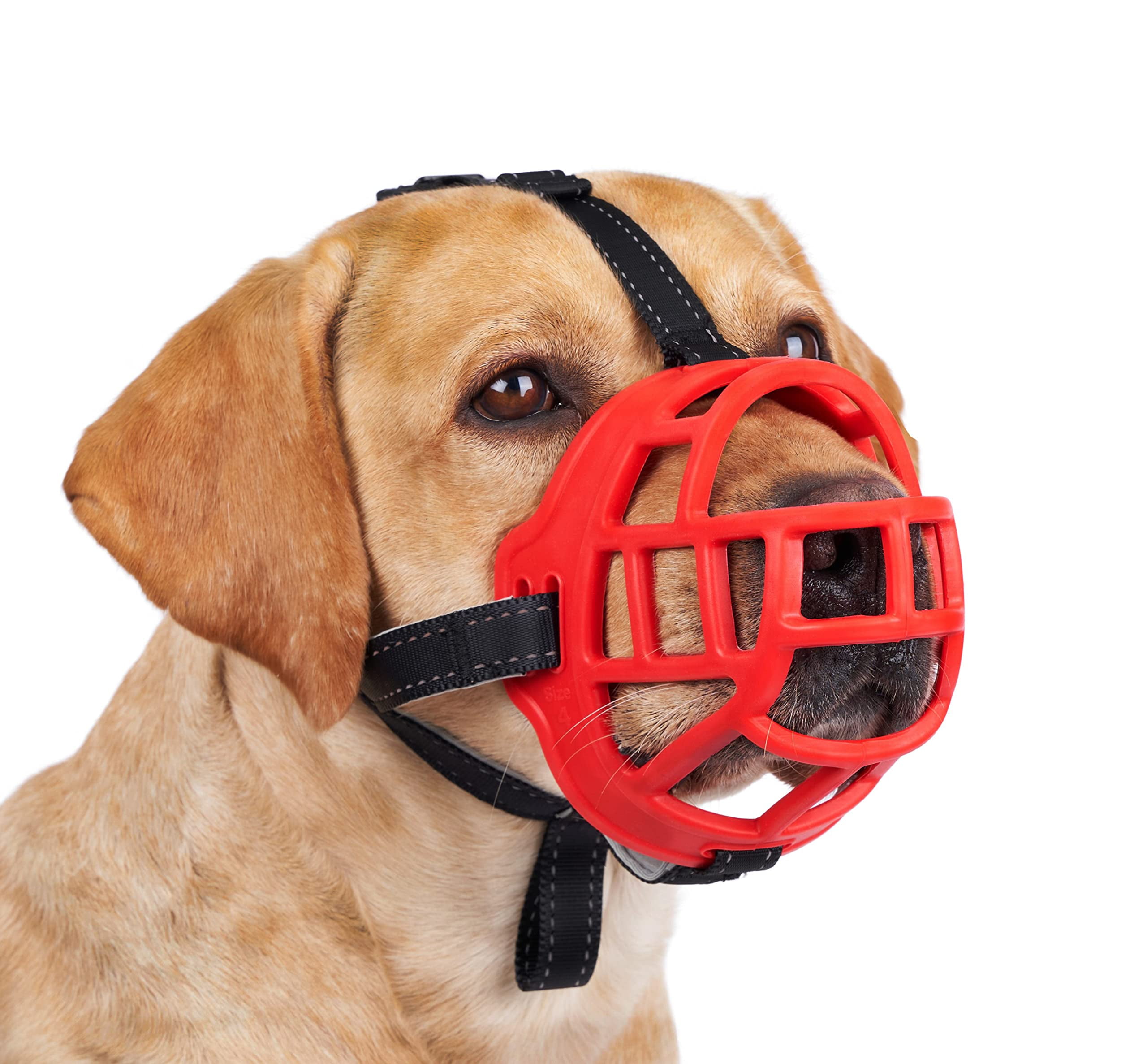 muzzles on people