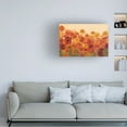 thumbnail image 2 of Trademark Fine Art 'Summer Poppies' Canvas Art by Silvia Vassileva, 2 of 4