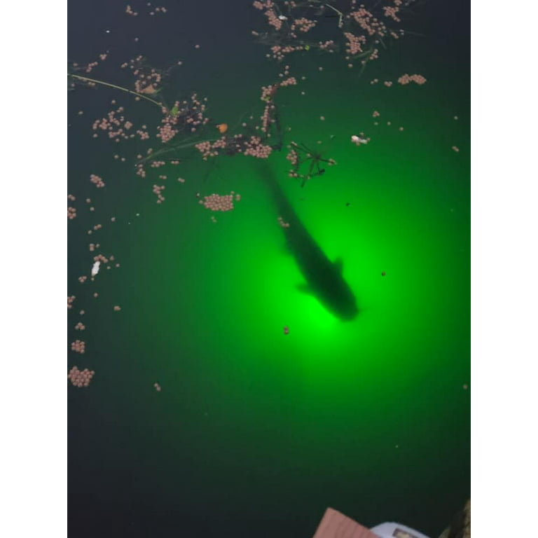  Green Blob Outdoors Portable Underwater Green Dock Fishing  Light Powerful 15000 Lumen LED w 30ft Cord & Std 3 Prong Plug Saltwater  Fish Attracting, Snook Tarpon Crappie Bass Catfish : Sports