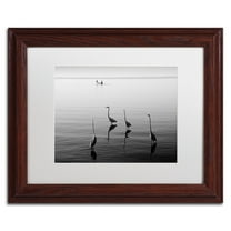 Trademark Fine Art "4 Herons and Boat" Canvas Art by Moises Levy White Matte, Wood Frame
