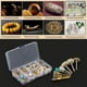 thumbnail image 4 of Cepillo de pulido dental NikouMX kit de herramientas dentales 80 piezas, 4 of 8