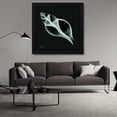 thumbnail image 3 of Albert Koetsier 20x20 Black Modern Wood Framed Wall Art Titled - Tulip Shell_sepia, 3 of 6