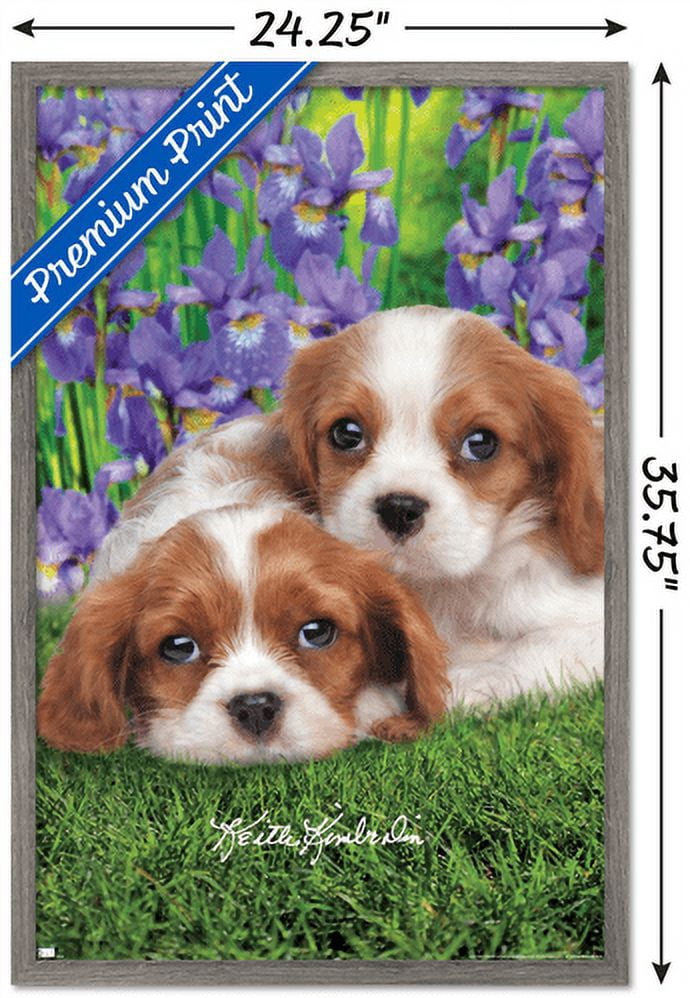 Keith Kimberlin - Cavalier King Charles Puppies Wall Poster, 22.375" x 34", Framed
