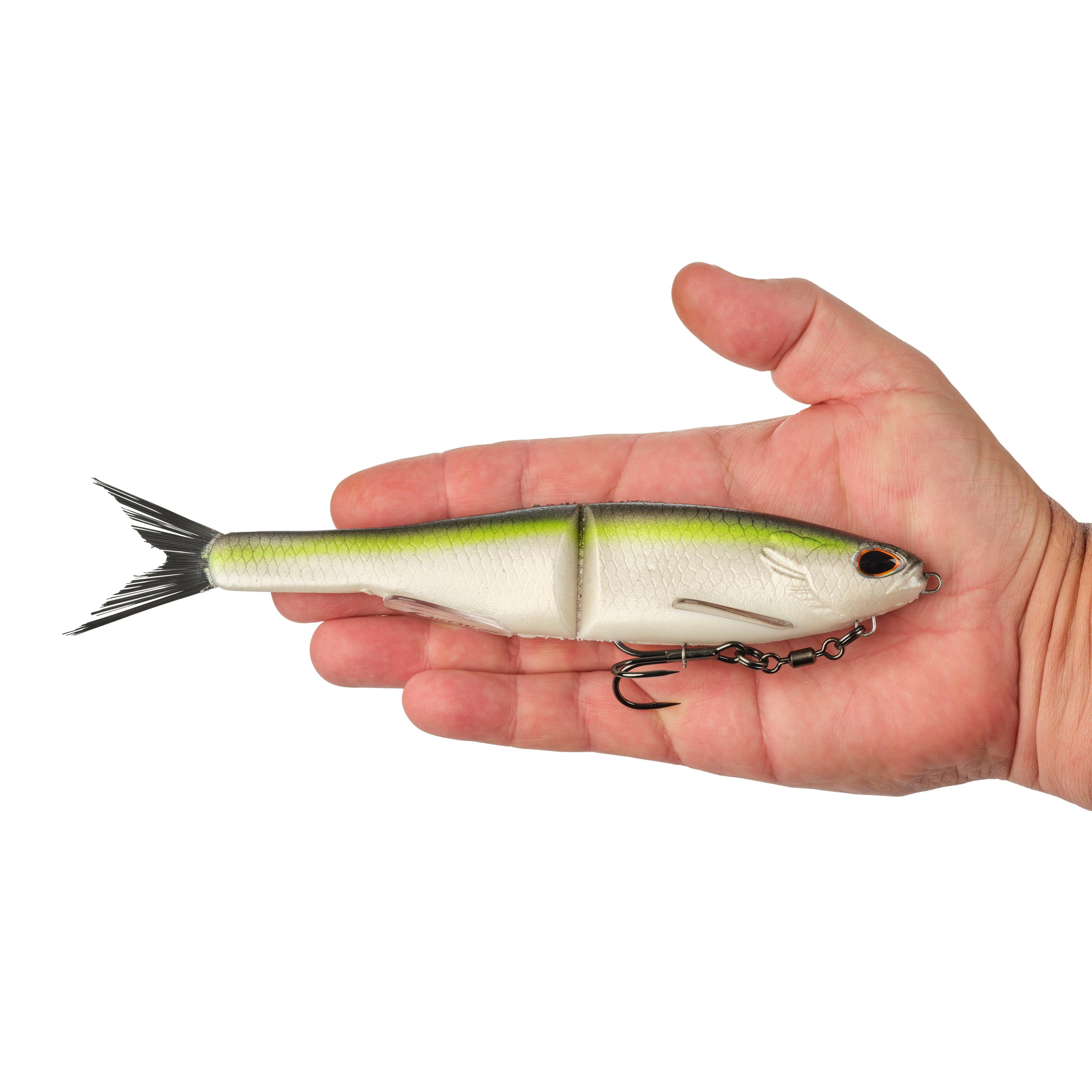 Berkley PowerBait® Nessie, 9 in, Green Back