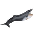 thumbnail image 1 of Juguete modelo de animal marino, modelo de simulación de animales marinos, juguete de animal marino, decoración de modelo de animal marino, instalación sin esfuerzo, 1 of 8