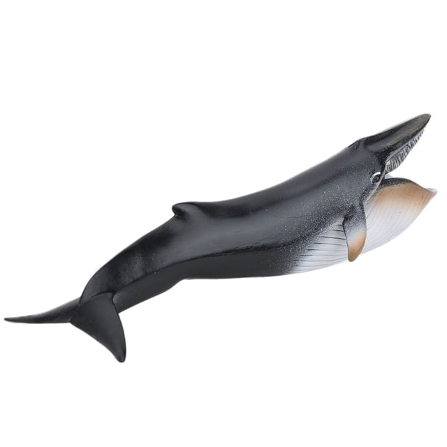 Juguete modelo de animal marino, modelo de simulación de animales marinos, juguete de animal marino, decoración de modelo de animal marino, instalación sin esfuerzo