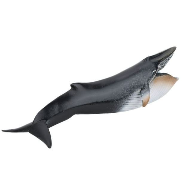 Juguete modelo de animal marino, modelo de simulación de animales marinos, juguete de animal marino, decoración de modelo de animal marino, instalación sin esfuerzo