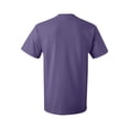 thumbnail image 3 of Adult HD Cotton™ T-Shirt, 3 of 3